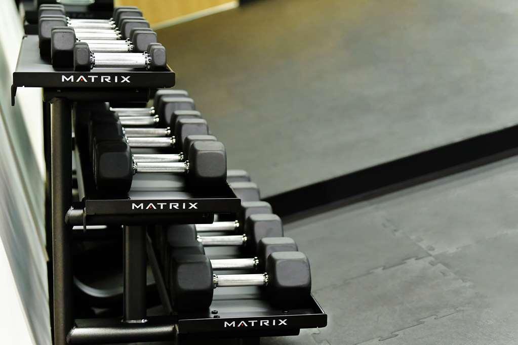 Galeria Plaza San Jeronimo Hotel Mexico City Tiện nghi bức ảnh Dumbbells