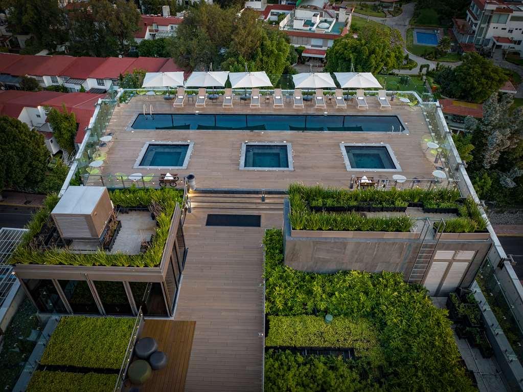 Galeria Plaza San Jeronimo Hotel Mexico City Tiện nghi bức ảnh The rooftop pool at the hotel